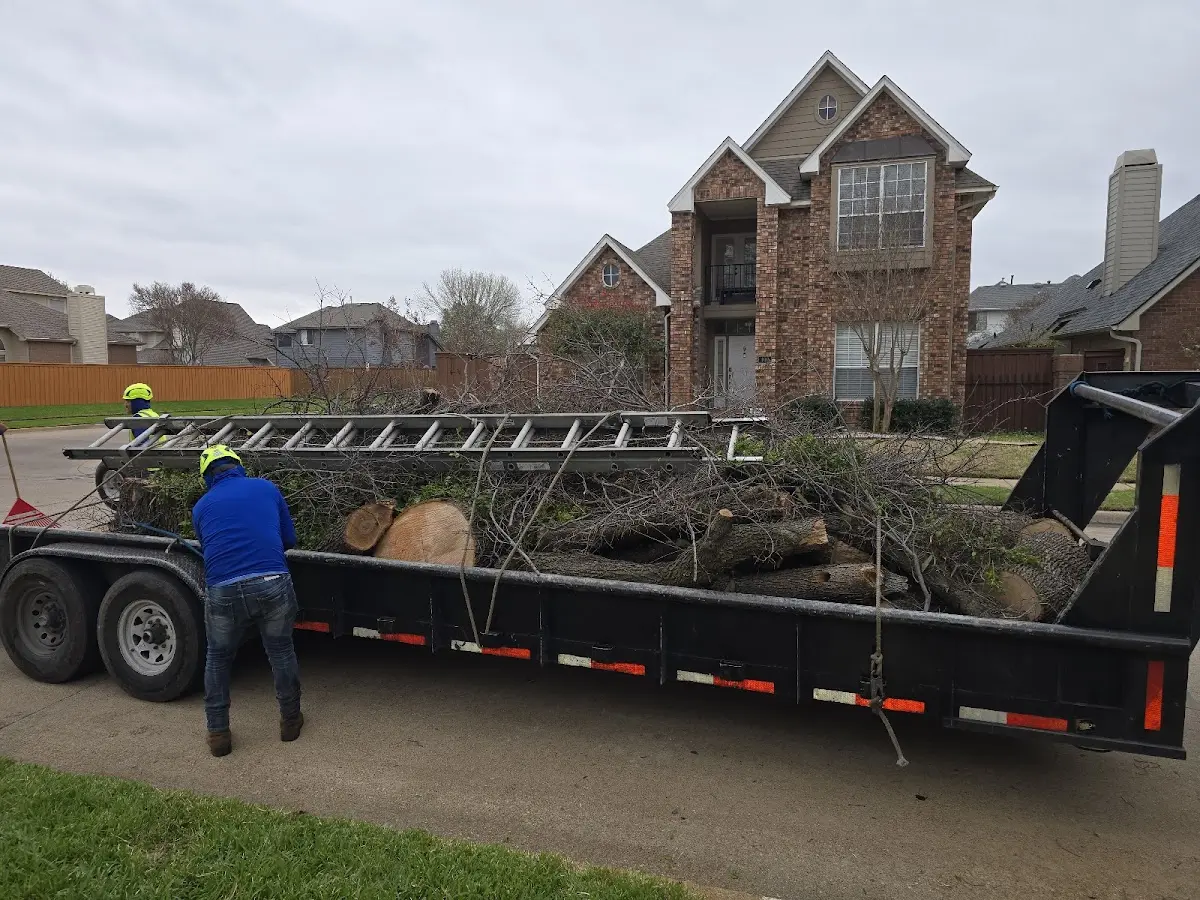 Expert Lot Clearing with proper safety equipment in Manitowish Waters
